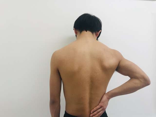 肩こりが原因の腰痛もある？それは肩甲骨が動いてないからです｜肩甲骨はがし・腰痛｜腰痛なら草加市のしげの鍼灸院・接骨院